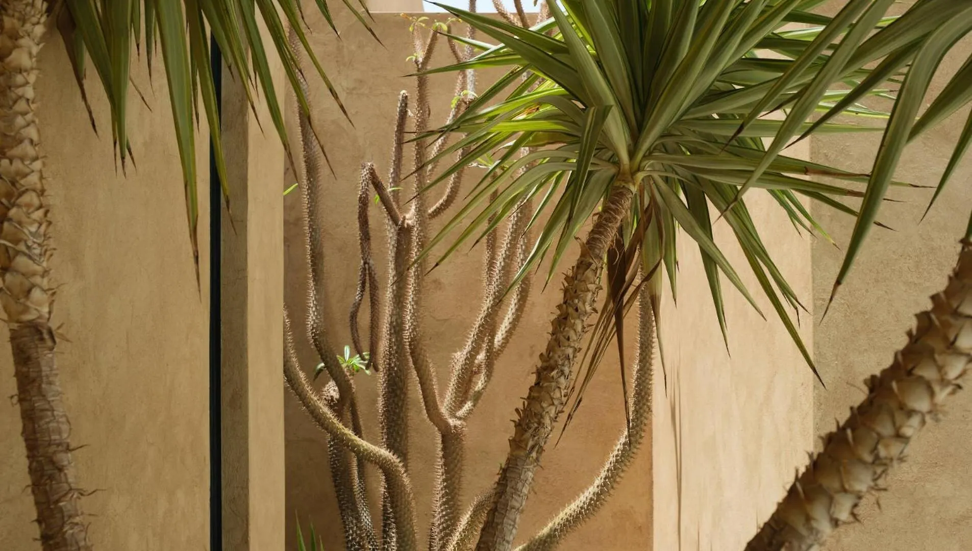 Villa Belya Marrakesh